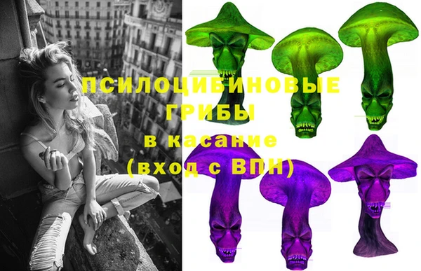 ГАЛЛЮЦИНОГЕННЫЕ ГРИБЫ Баксан