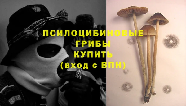 трава Балабаново