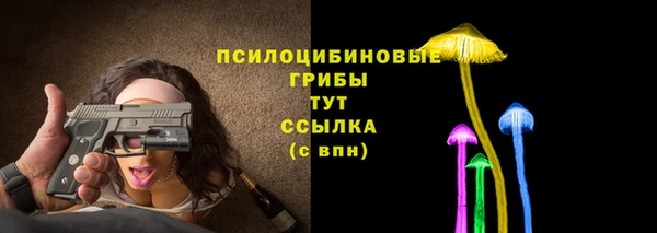 ГАЛЛЮЦИНОГЕННЫЕ ГРИБЫ Баксан