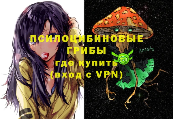 ГАЛЛЮЦИНОГЕННЫЕ ГРИБЫ Баксан