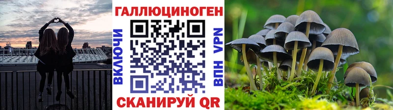 Галлюциногенные грибы Psilocybine cubensis  цена наркотик  Безенчук 